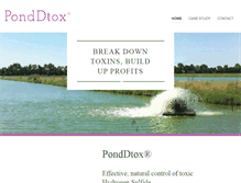 Tablet Screenshot of ponddtox.com